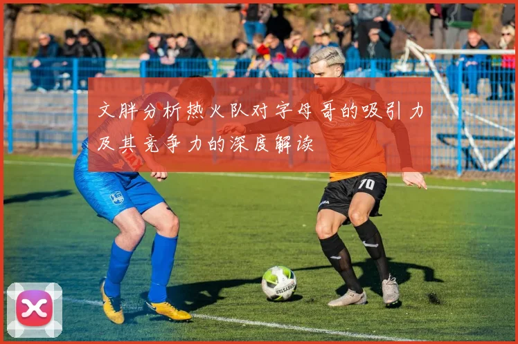 文胖分析热火队对字母哥的吸引力及其竞争力的深度解读